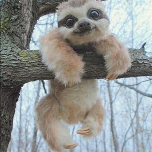 Meet your Posher, Kelli